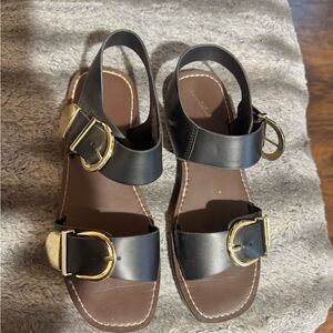 Black and Brown Sandals with Gold Buckles
